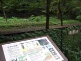 20080913_nogawa_17.JPG